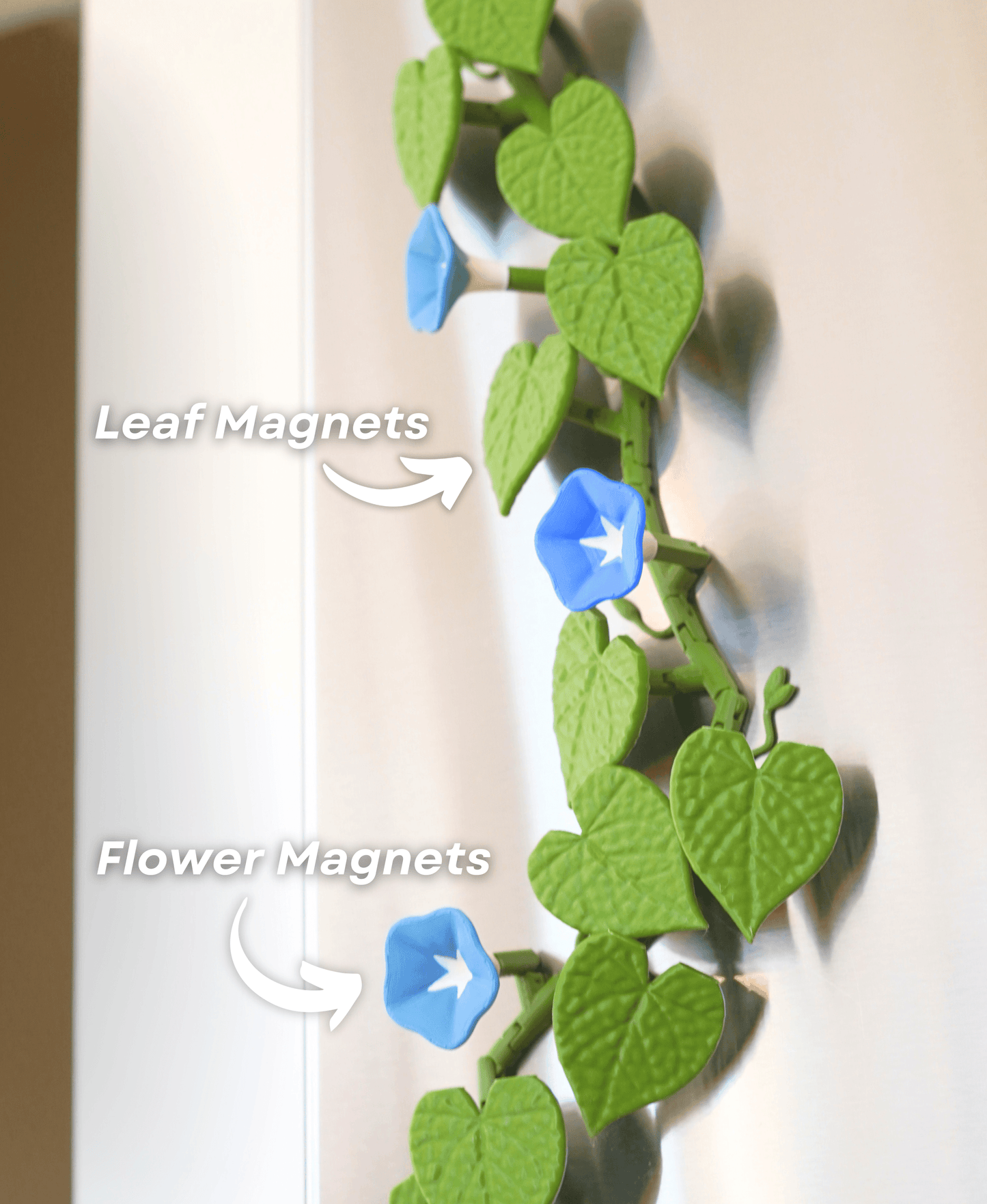 Morning Glory Fridge Magnets – Bloom Into Your Day! 🌸🧲