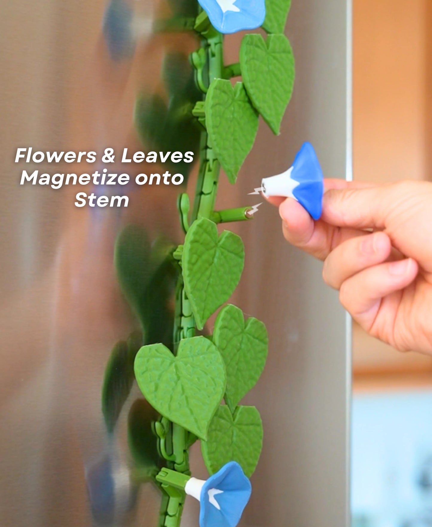 Morning Glory Fridge Magnets – Bloom Into Your Day! 🌸🧲