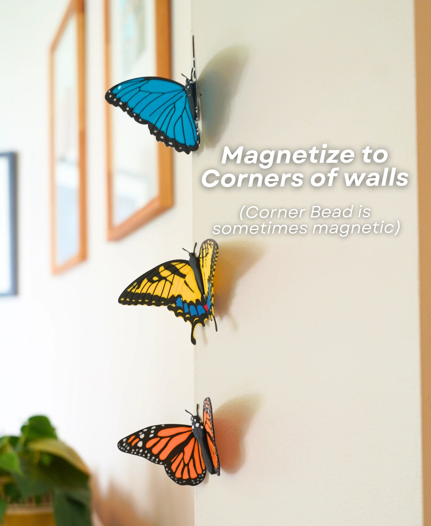 Butterfly Fridge Magnets – Add a Touch of Whimsy to Your Space! 🦋🧲