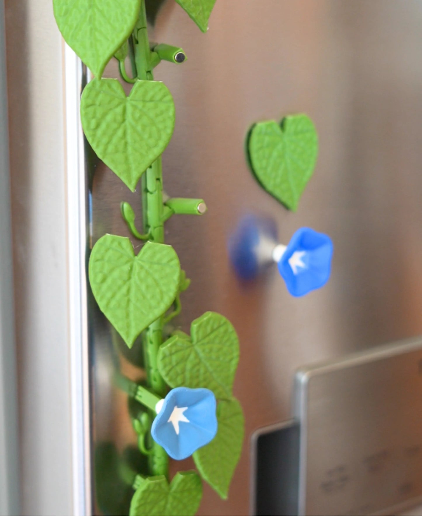 Morning Glory Fridge Magnets – Bloom Into Your Day! 🌸🧲