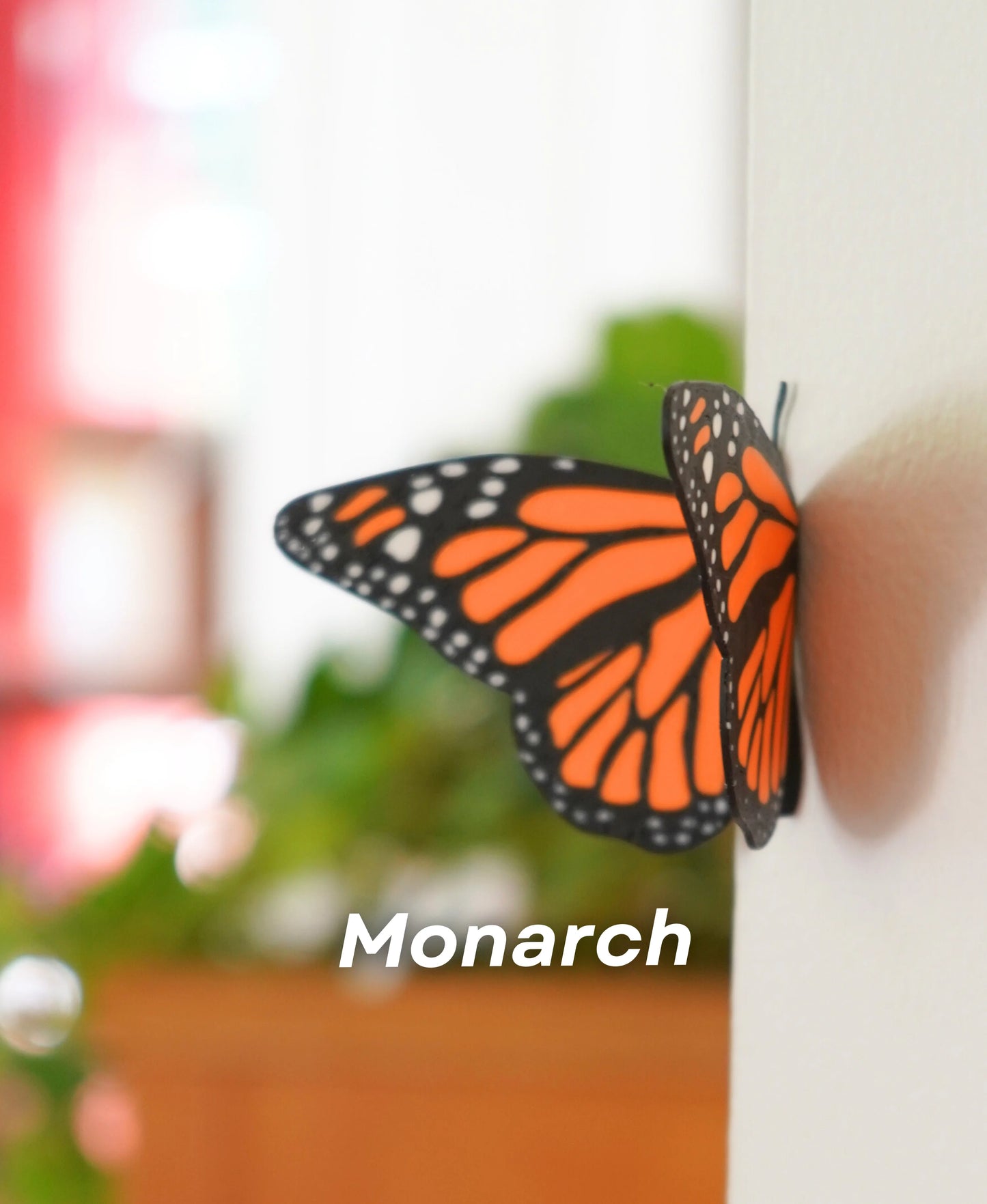 Butterfly Fridge Magnets – Add a Touch of Whimsy to Your Space! 🦋🧲