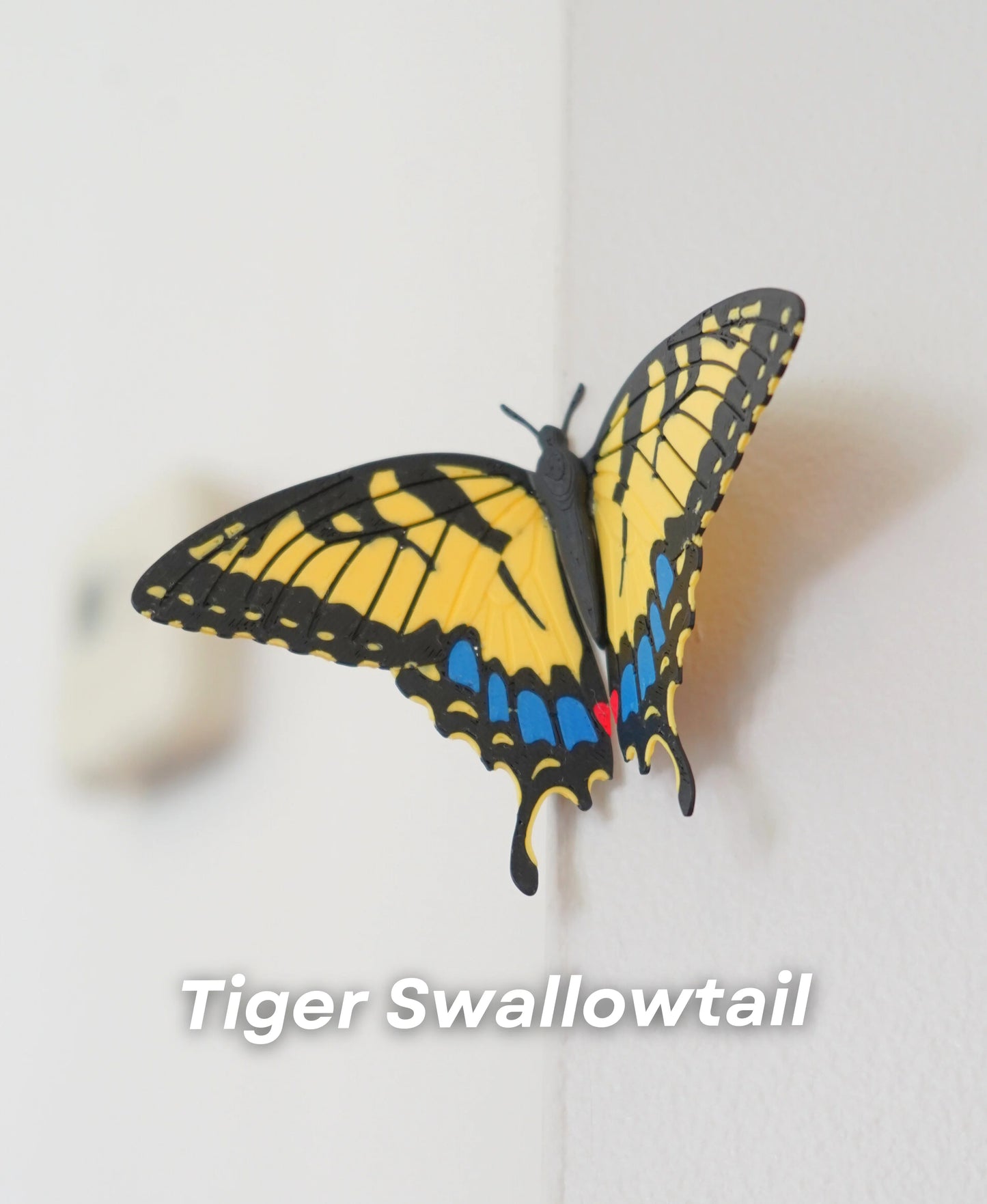 Butterfly Fridge Magnets – Add a Touch of Whimsy to Your Space! 🦋🧲