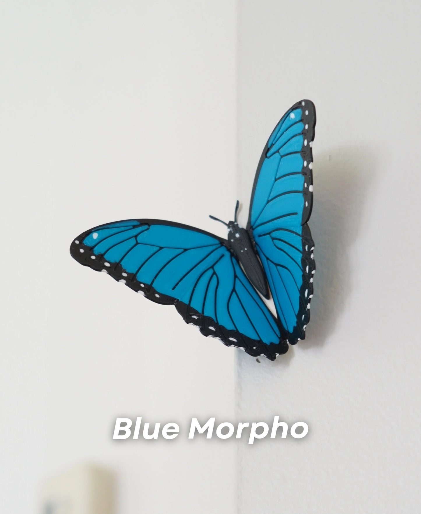 Butterfly Fridge Magnets – Add a Touch of Whimsy to Your Space! 🦋🧲