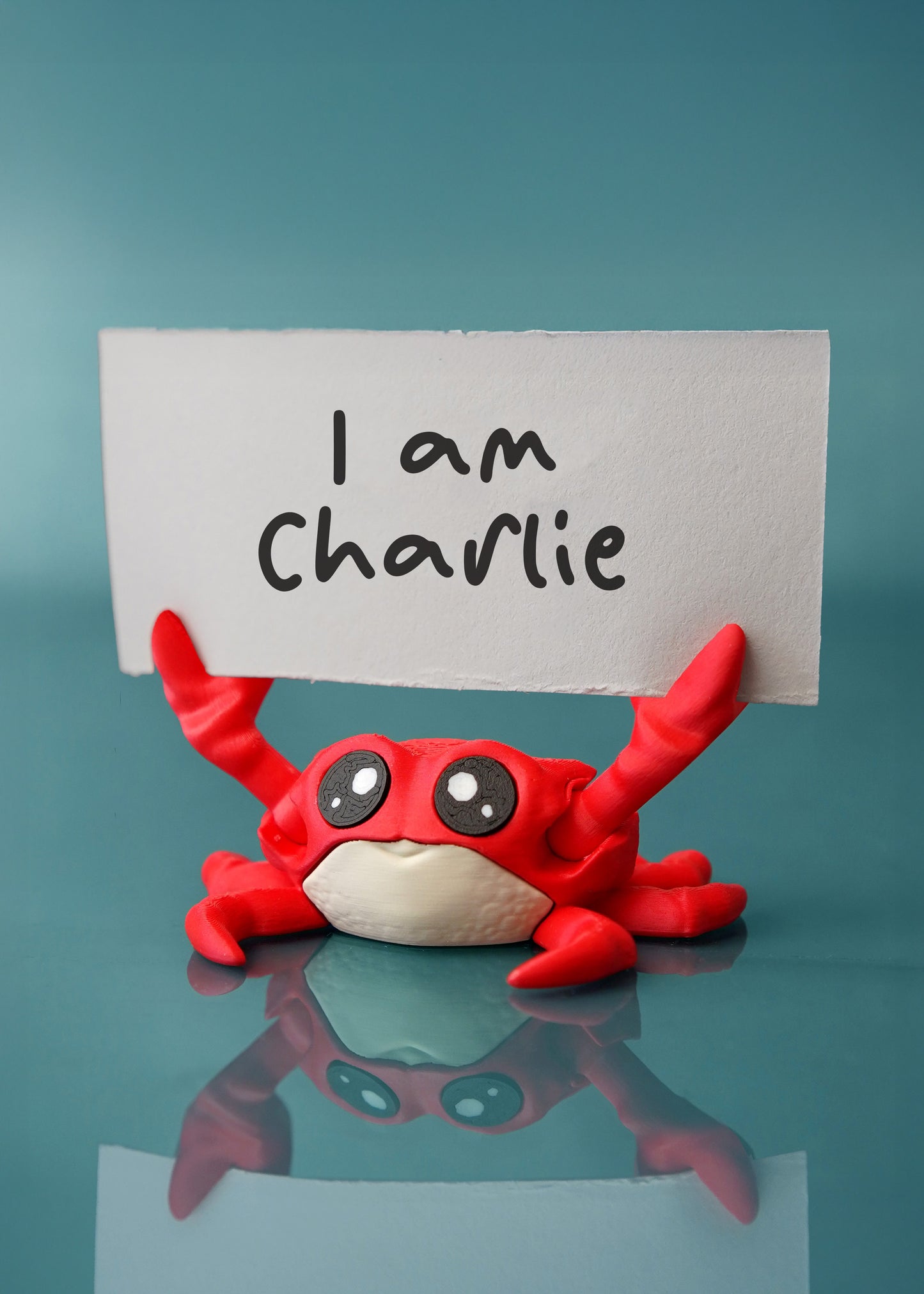 Charlie the Comfort Crab – A Claw-some Way to Stay Organized! 🦀💌