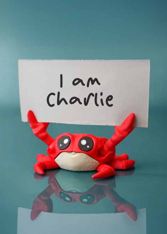 Charlie the Comfort Crab – A Claw-some Way to Stay Organized! 🦀💌