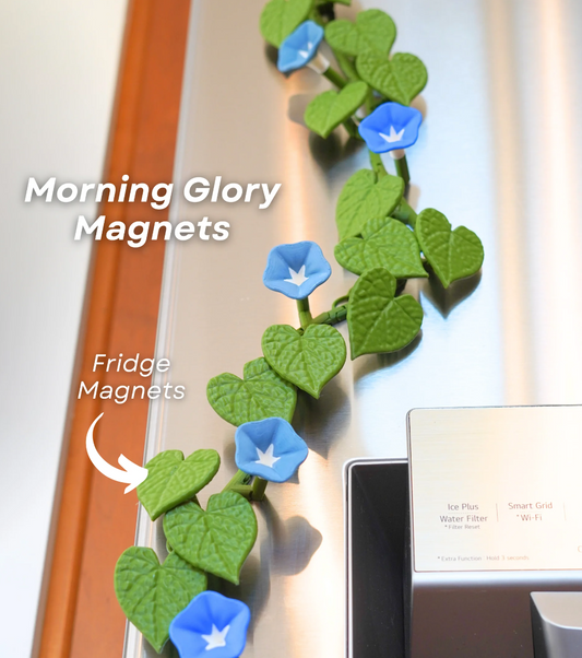 Morning Glory Fridge Magnets – Bloom Into Your Day! 🌸🧲