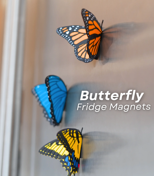 Butterfly Fridge Magnets – Add a Touch of Whimsy to Your Space! 🦋🧲